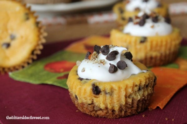 Chocolate Chip Pumpkin Cheesecake Bites 2