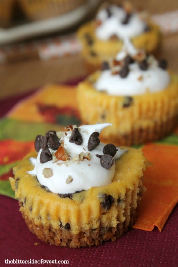 Chocolate Chip Pumpkin Cheesecake Bites | thebittersideofsweet.com