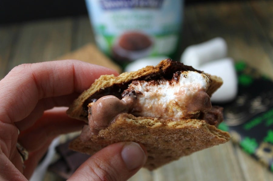 Mint Chocolate Frozen Yogurt S'mores - The Bitter Side of Sweet