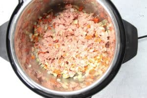 Instant Pot Turkey Ragu with turkey