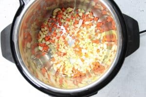 Instant Pot Turkey Ragu with veggies