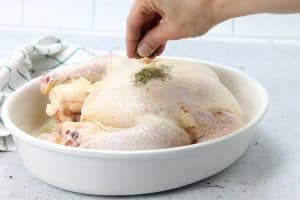 Oven Baked Whole Chicken with spices