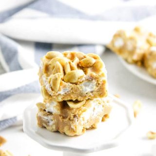 Salted Nut Roll Bars on white stand