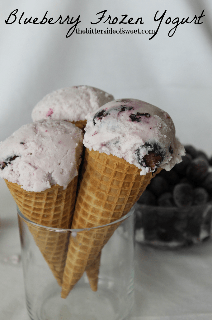 Blueberry Frozen Greek Yogurt 