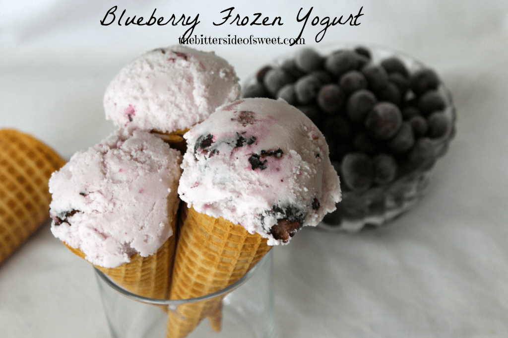 Blueberry Frozen Greek Yogurt 