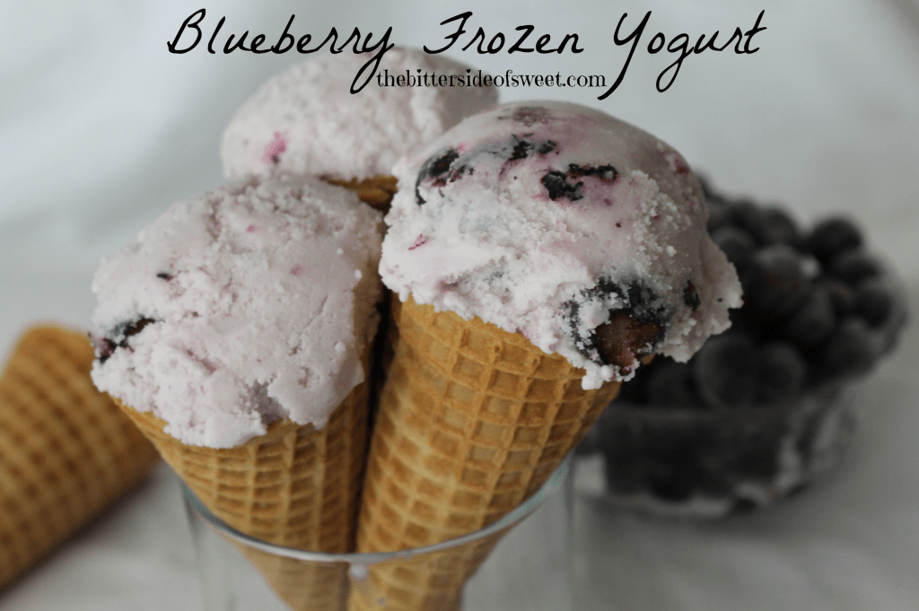 Blueberry Frozen Greek Yogurt 