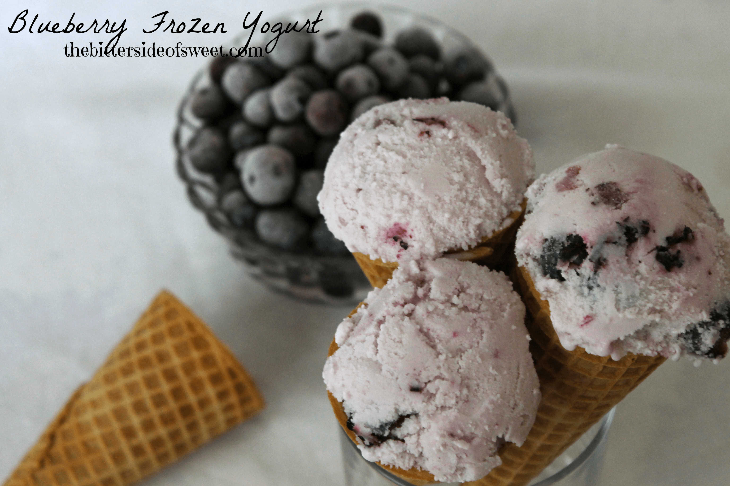 Blueberry Frozen Greek Yogurt theBitterSideofSweet