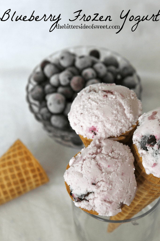 Blueberry Frozen Greek Yogurt 