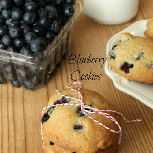 Blueberry Cookies - The Bitter Side of Sweet