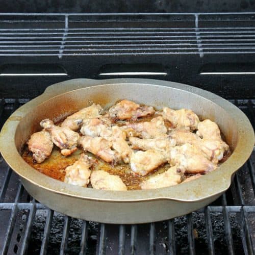 Oregano Garlic Chicken Wings (Gourmet Grillware Giveaway) The Bitter