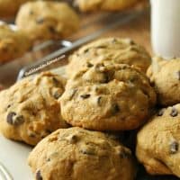 Chocolate Chip Pumpkin Cookies