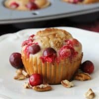 Cranberry Pecan Muffins