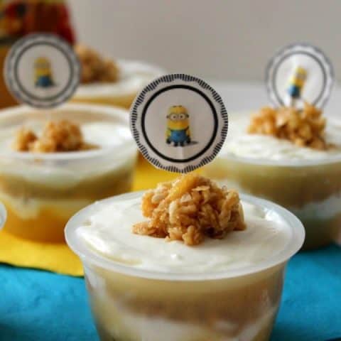Cinnamon Applesauce Parfaits