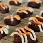 Baked-Pumpkin-Brownie-Donuts-1