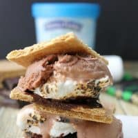 Mint Chocolate Frozen Yogurt S'mores