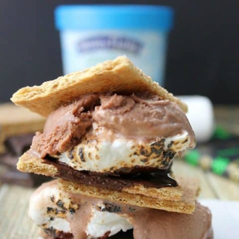 Mint Chocolate Frozen Yogurt S'mores