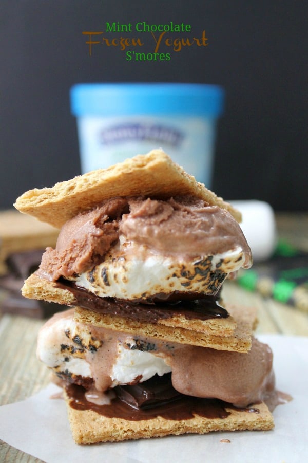 Mint Chocolate Frozen Yogurt S'mores by The Bitter Side of Sweet