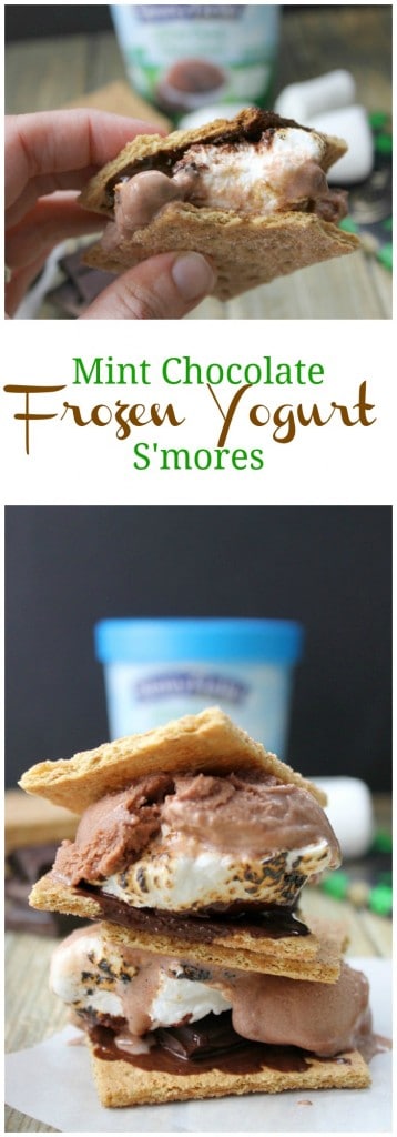 Mint Chocolate Frozen Yogurt S'mores - The Bitter Side of Sweet