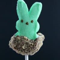 S'mores Peeps Pops