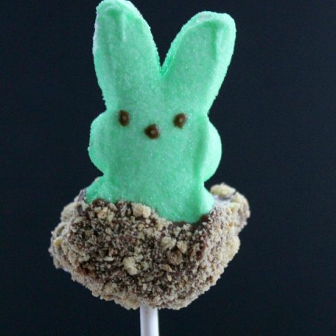 S'mores Peeps Pops