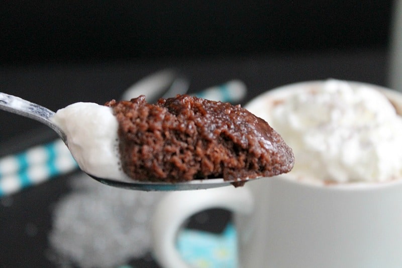 Chocolate Espresso Mug Cake | The Bitter Side of Sweet #‎SummerCravings‬ ‪#‎stonyfieldblogger‬ ‪#‎prAna‬