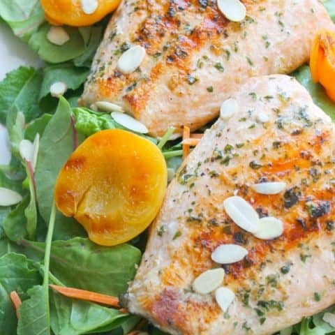 Grilled Salmon Salad with Apricot Dressing