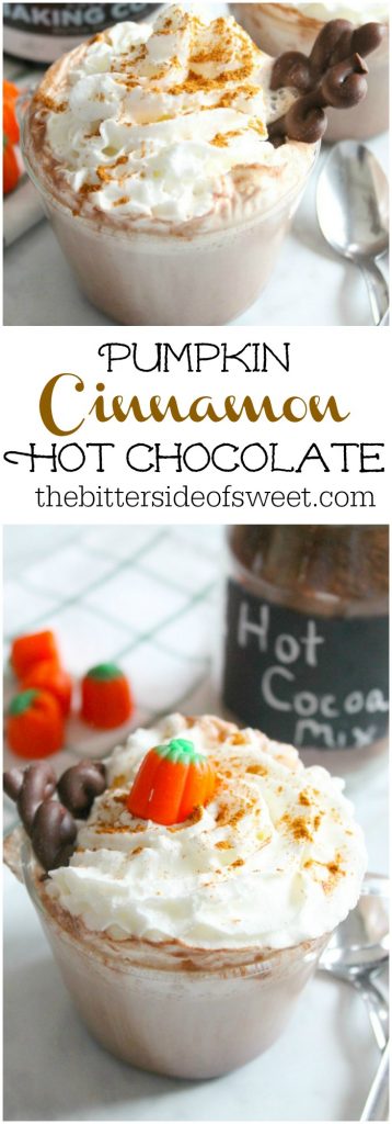 Pumpkin Cinnamon Hot Chocolate  