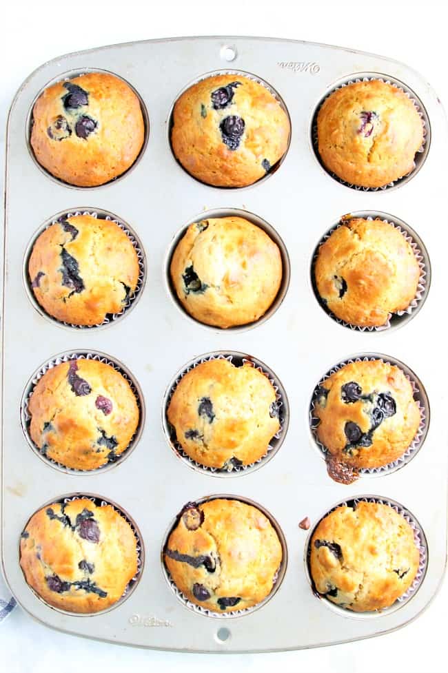 Blueberry Oatmeal Muffins