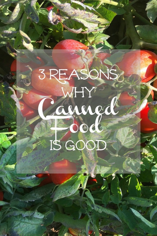 3 Reasons Why Canned Food Is Good