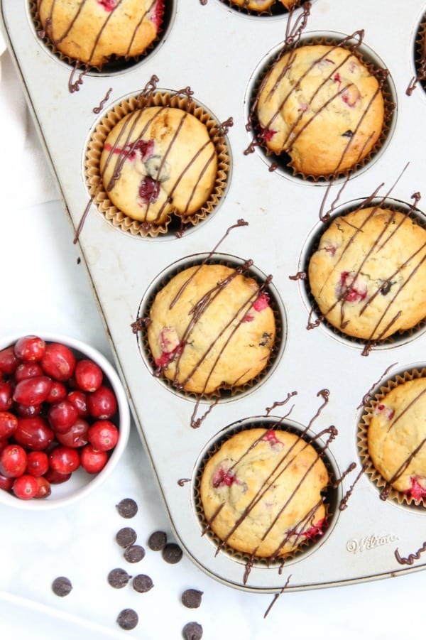 Cranberry Dark Chocolate Oatmeal Muffins in pan