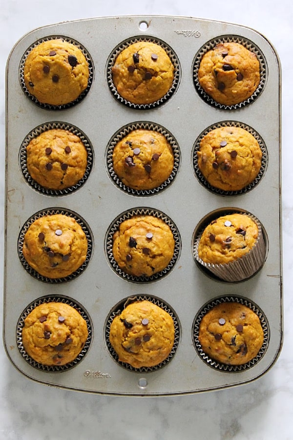 Chocolate Chip Pumpkin Muffins in muffin tin