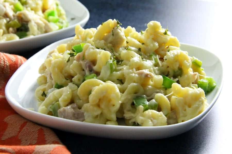 Leftover Turkey Pasta on white plate