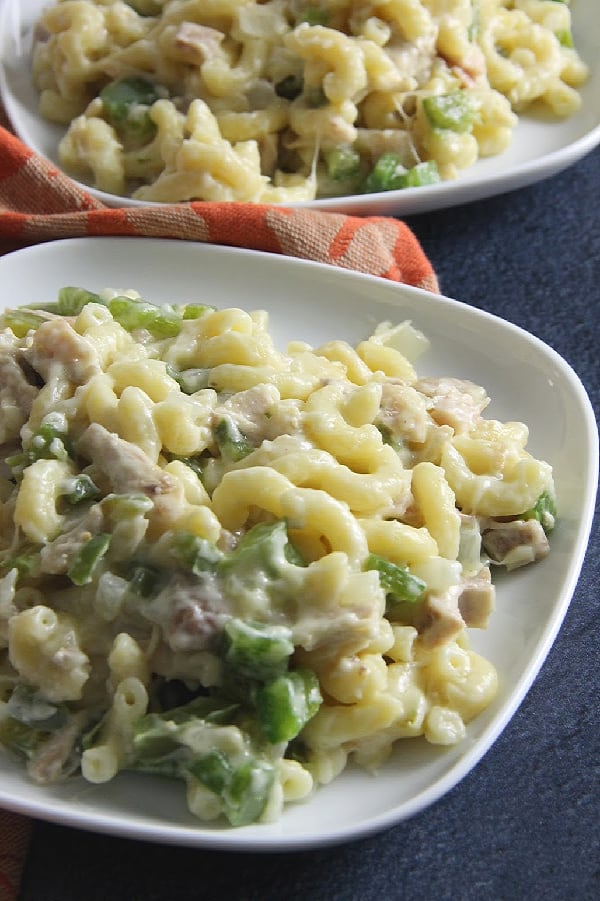 Leftover Turkey Pasta on white plate