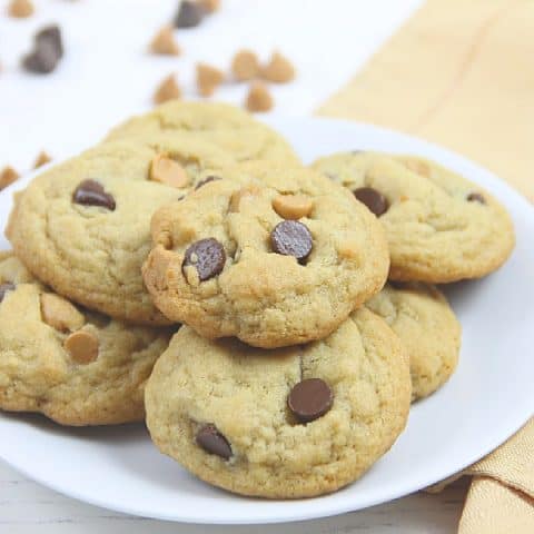 Peanut Butter Chocolate Chip Cookies on white plate