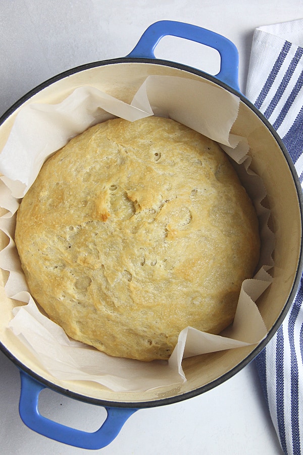 Homemade Italian Bread in blue dutch oven