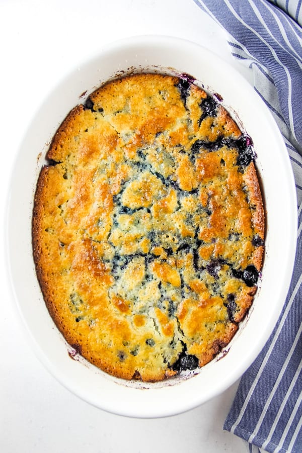 Blueberry Cobbler in white bowl