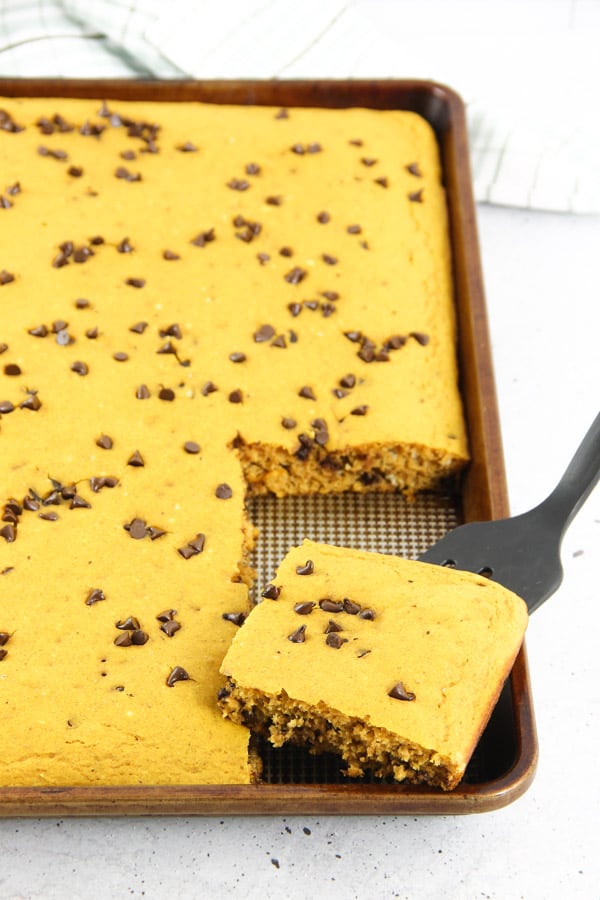 Chocolate Chip Pumpkin Sheet Pan Pancakes on sheet pan