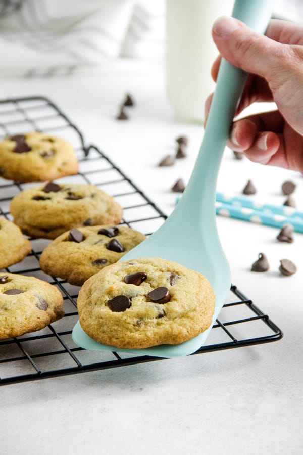 cookie on spatula.